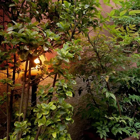 Bnbutler - Riccardo Galli - Incantevole Appartamento, A Casa Vostra! דירה *